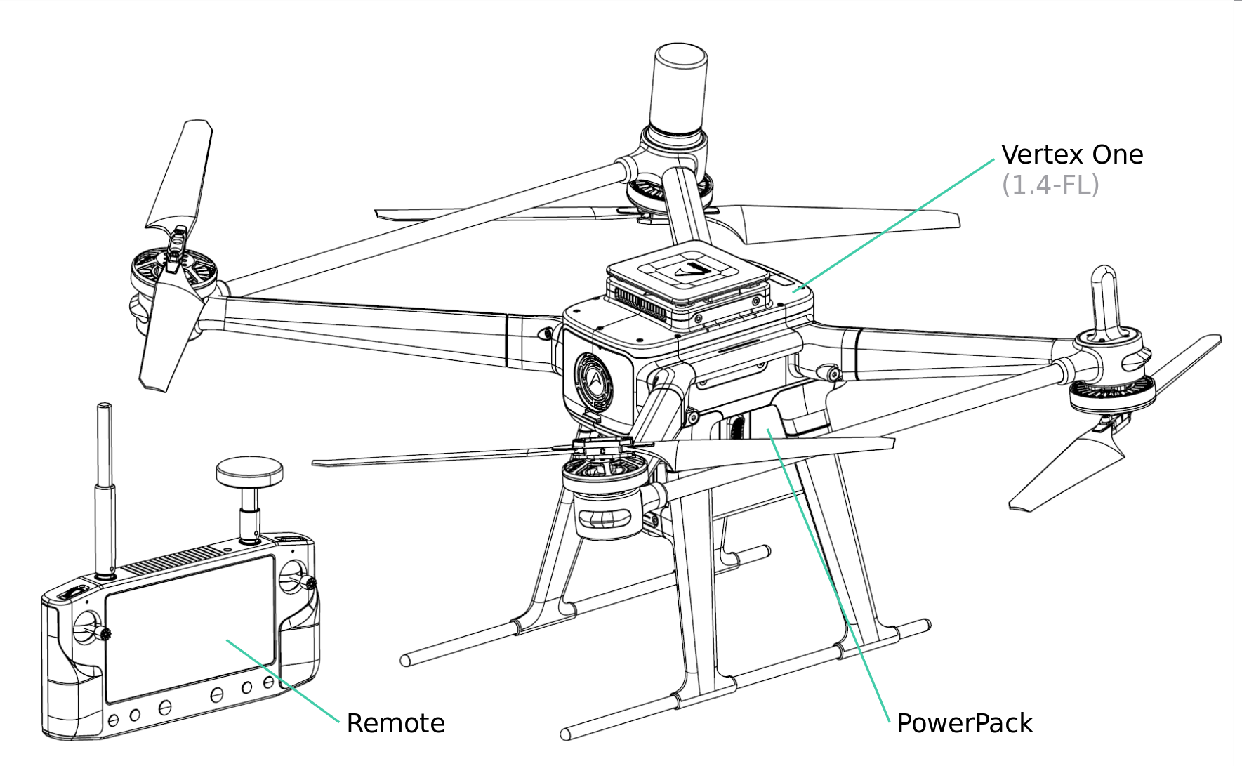 Vertex